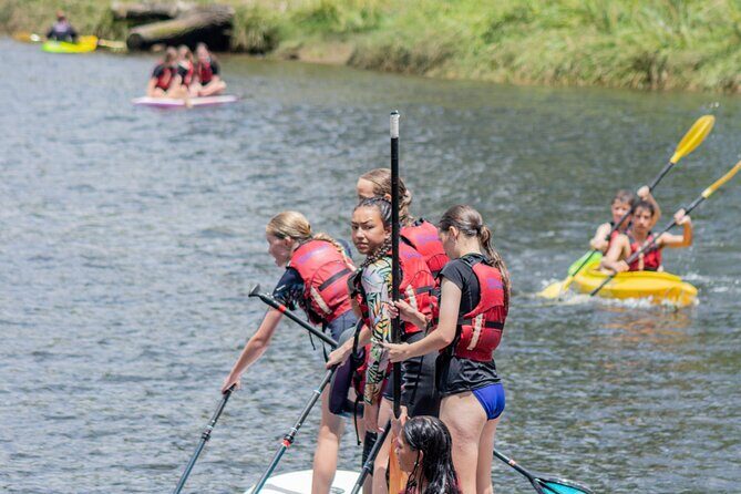 Tauranga: Waimarino Adventure Park - Practical Details and Tips