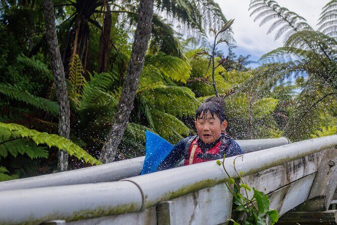 Tauranga: Waimarino Adventure Park - The Sum Up