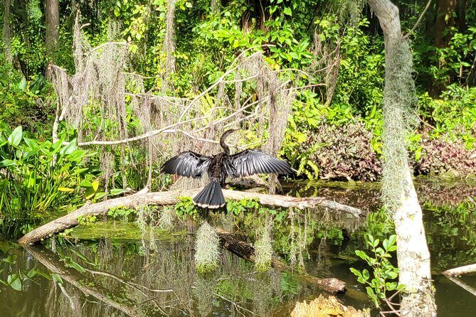 Tavares Half-Day Kayak Rental for Two on the Dora Canal - Exploring the Tavares Half-Day Kayak Rental for Two on the Dora Canal