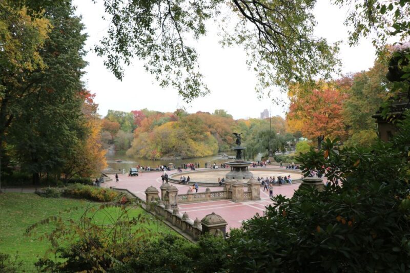 Tavern on the Green PickUp&DropOff With Horse Carriage Ride - A Detailed Look at the Central Park Horse Carriage Experience