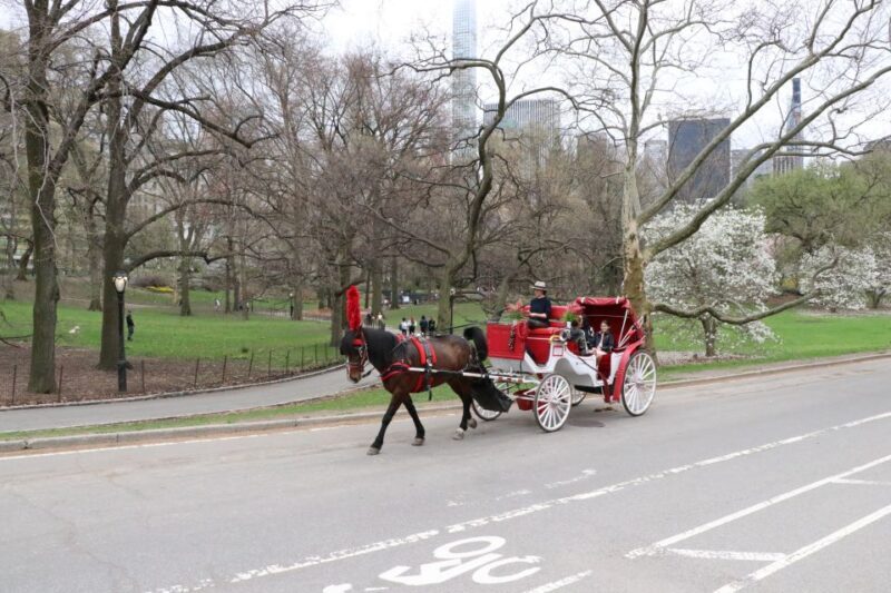 Tavern on the Green PickUp&DropOff With Horse Carriage Ride - Final Summary