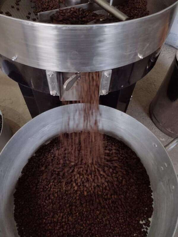 Taxco: Organic Coffee Garden Experience - The Experience from the Traveler’s Perspective
