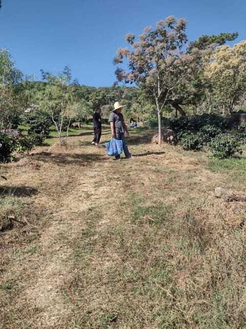 Taxco: Organic Coffee Garden Experience - Final Thoughts: Who Should Join?