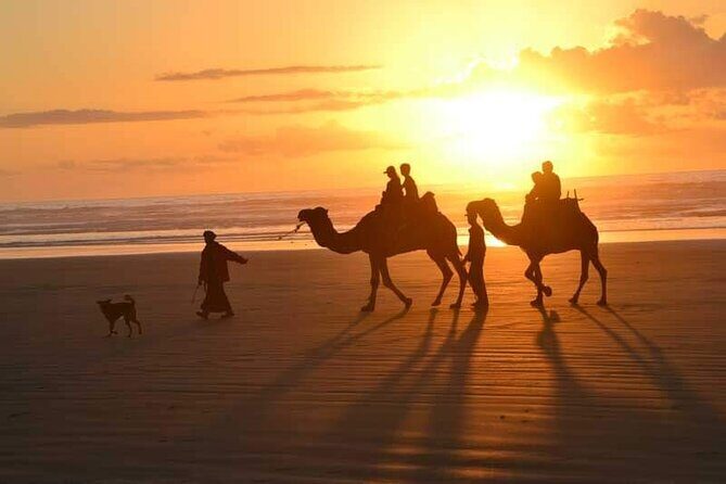 Taxi Essaouira Marrakech - Taxi Marrakech to Essaouira - Practical Tips for Booking & Using the Service