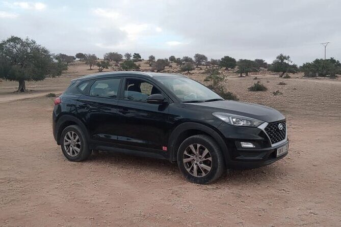 Taxi Essaouira to Casablanca/Taxi Casablanc to Essaouira - The Experience of This Private Transfer