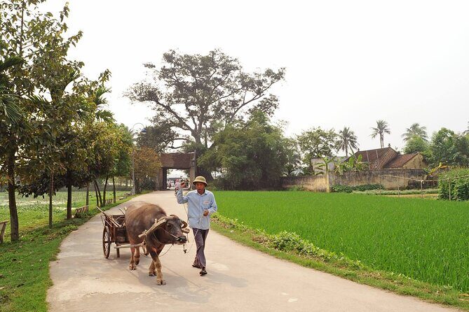 Tay phuong pagoda and Duong Lam ancient village with biking - A Deep Dive into the Experience