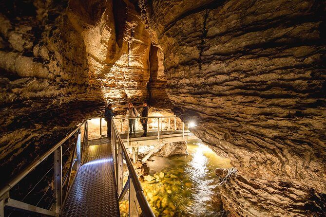 Te Anau Glow Worm Caves Tour - Analyzing the Value