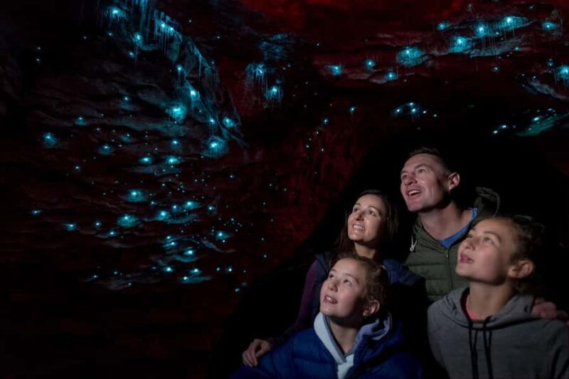 Te Anau: Glowworm Caves Guided Tour - The Experience: What Travelers Can Expect