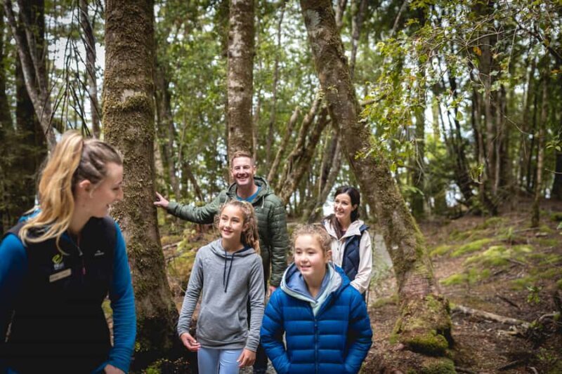 Te Anau: Glowworm Caves Guided Tour - Authentic Experiences and Tips from Reviewers
