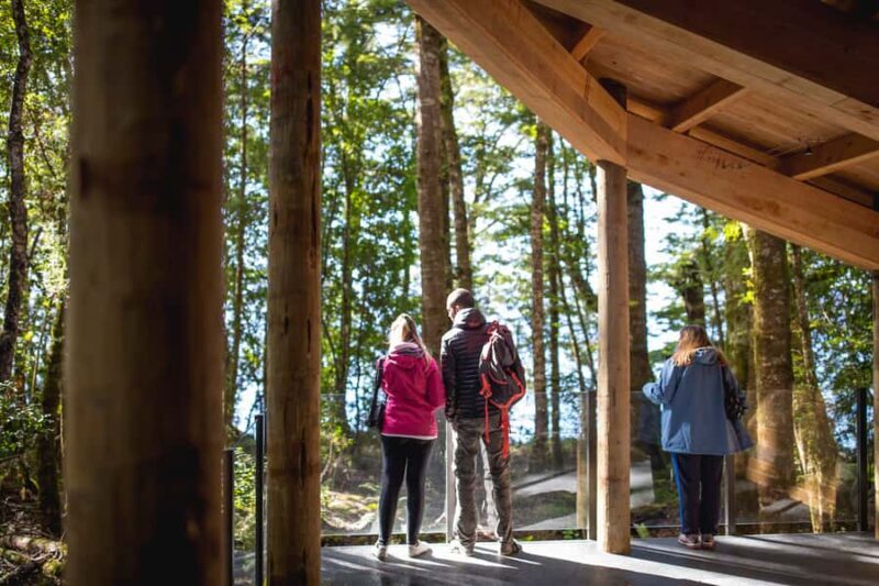 Te Anau: Glowworm Caves Guided Tour - Why This Tour is Worth Considering