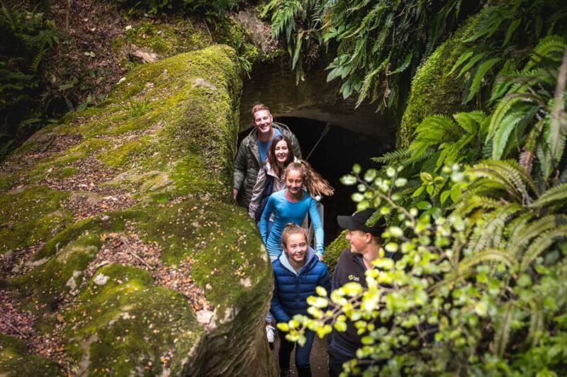 Te Anau: Glowworm Caves Guided Tour - The Sum Up