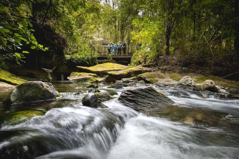 Te Anau: Glowworm Caves Guided Tour - FAQ
