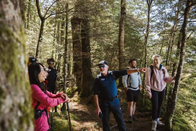 Te Anau: Jet Boat Ride & Kepler Track Guided Hike - Key Points