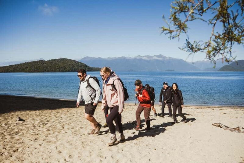 Te Anau: Jet Boat Ride & Kepler Track Guided Hike - What to Expect on Your Day with Fiordland Tours