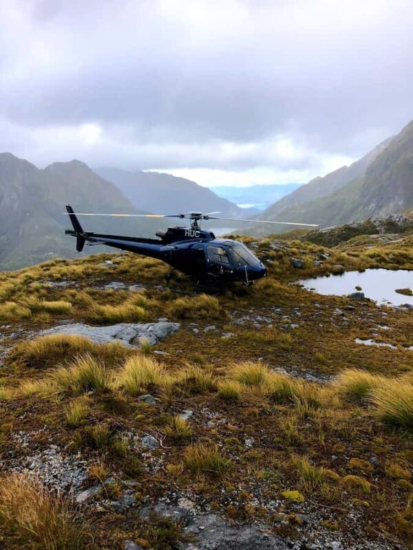 Te Anau: Kepler Heli Hike (unguided) - The Hike: Peace and Solitude in Native Forest