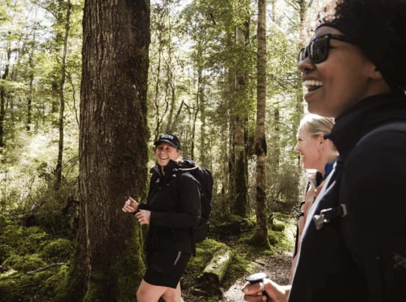 Te Anau: Kepler Track Helicopter Hike with Boat Ride - A Day in the Sky and Forest: An Overview