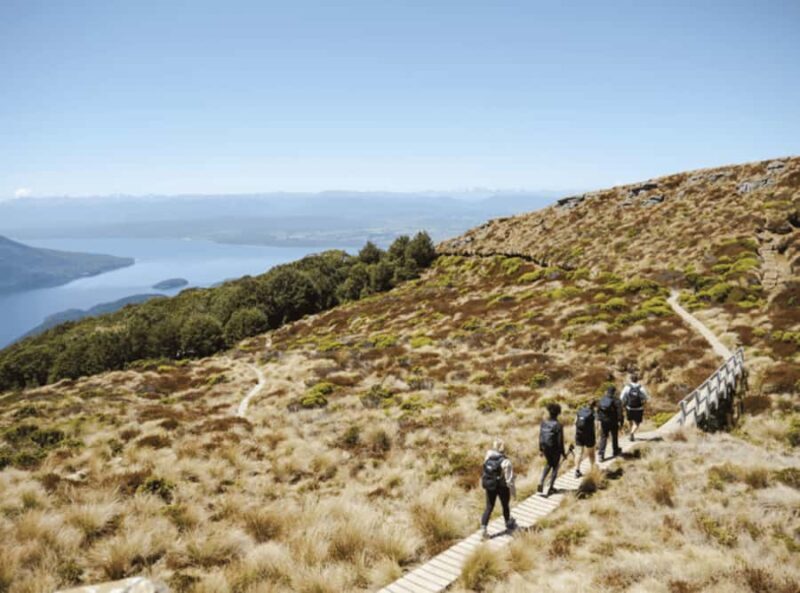 Te Anau: Kepler Track Helicopter Hike with Boat Ride - Overall Value and Considerations