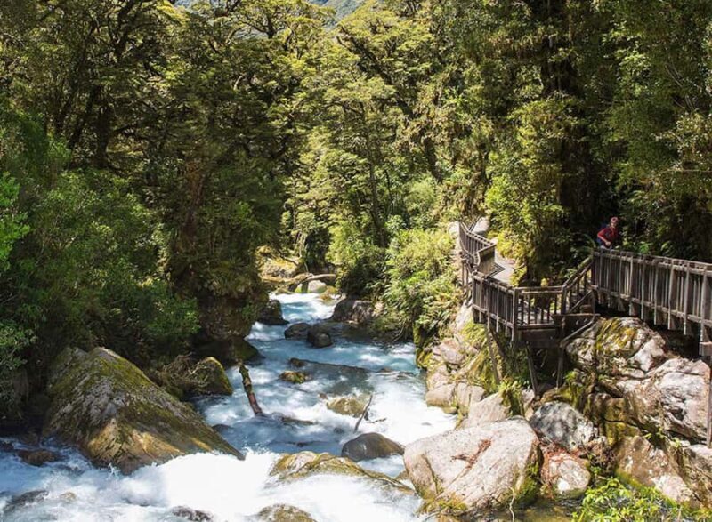 Te Anau: Lake Marian Guided Day Hike with Lunch - Key Points