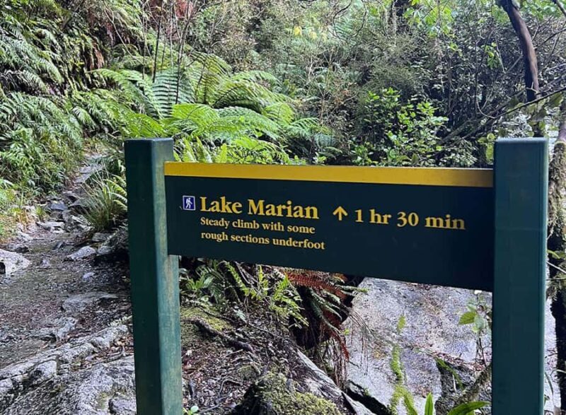 Te Anau: Lake Marian Guided Day Hike with Lunch - Final Thoughts