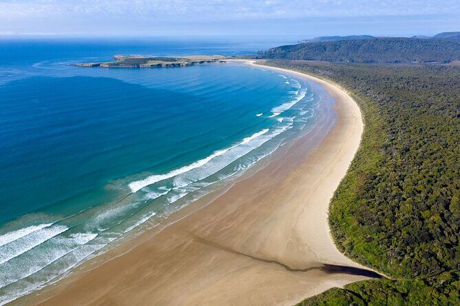 Te Anau to Dunedin Via The Catlins Small-Group Tour (One-Way) - Frequently Asked Questions