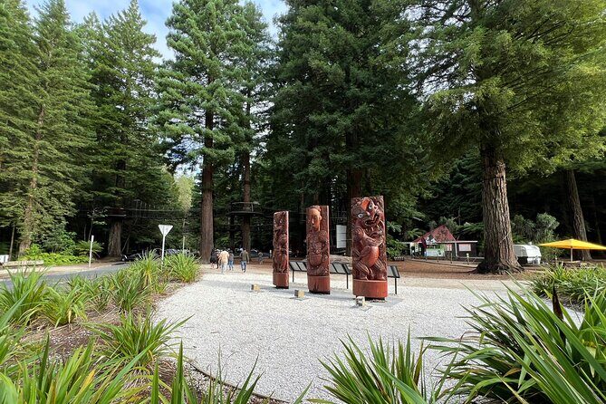 Te Puia And Redwood Park Day Trip Transport From Auckland - The Sum Up