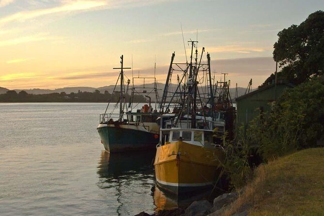 Te Puia Geothermal, Kiwi and Mori Art - Final thoughts: Is this tour worth it?