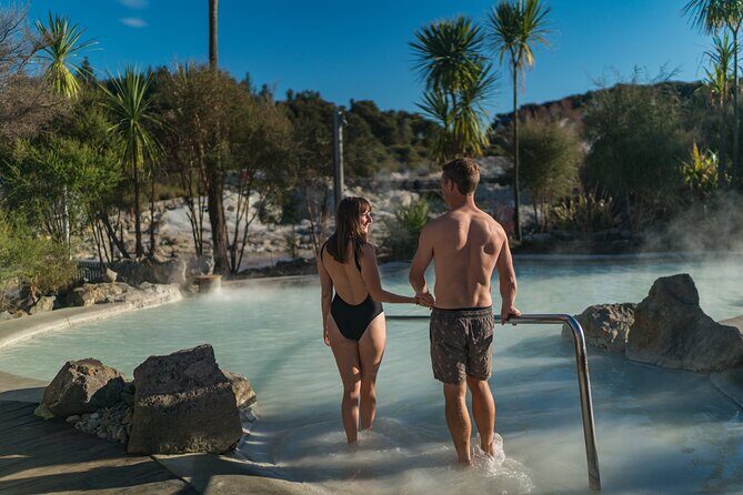 Te Puia & Hells Gate incl. Mud Spa Experience Private Tour - A Deep Dive into the Itinerary