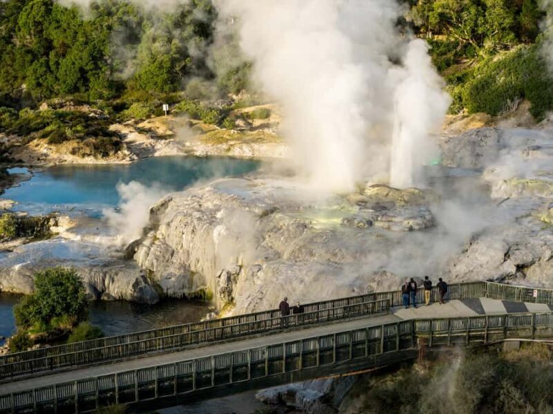 Te Puia: Te P Indigenous Combo - Tour, Dinner + Haka - Who Should Consider This Tour?