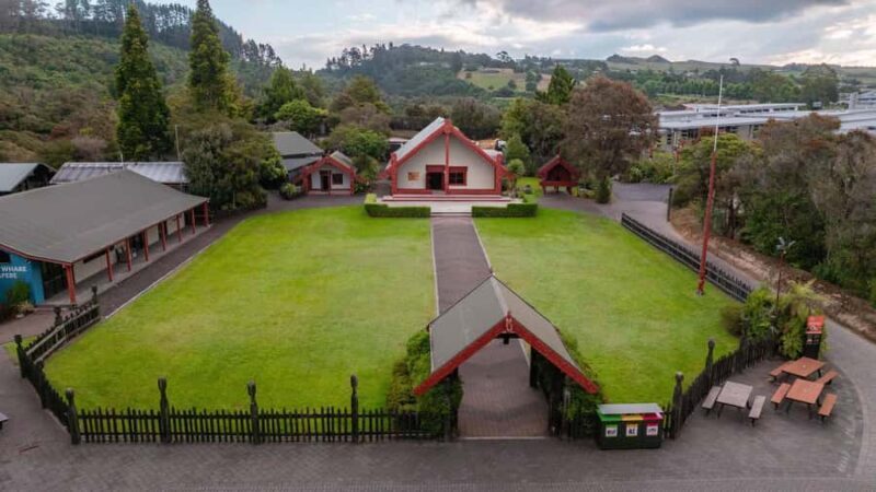 Te Puia: Te R Guided Day Tour + Haka Cultural Performance - A Closer Look at the Tour Experience
