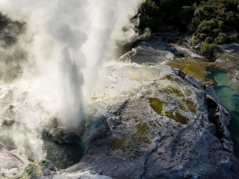 Te Puia: Te R Guided Day Tour - Practical Tips for Visitors