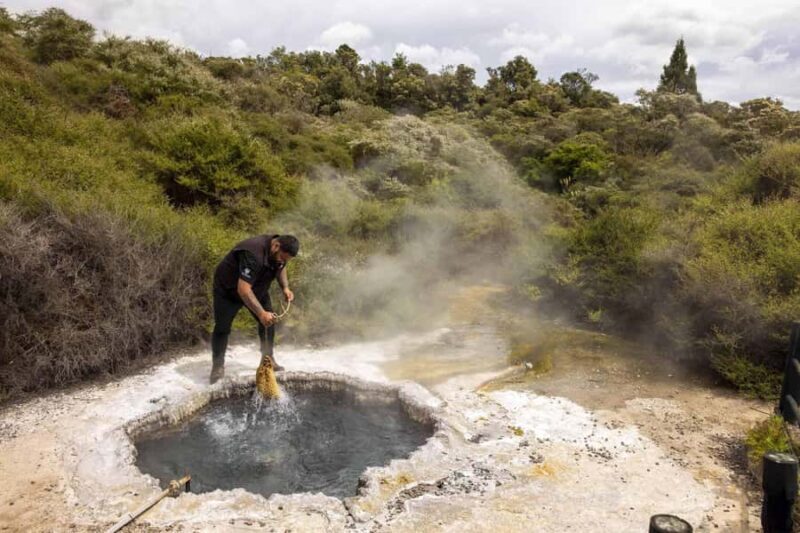 Te Puia: Tuku Iho Trail with Cultural Show - What to Expect from Your Visit