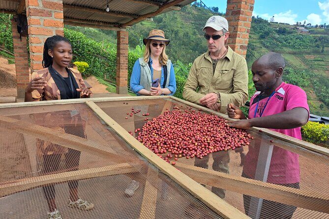 Tea and coffee tours - An Overview of the Tour Experience