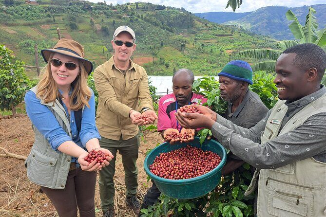 Tea and coffee tours - An In-Depth Look at the Coffee and Tea Tour