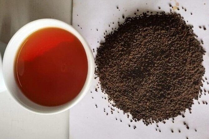 Tea Fields & Factory Tour - Who Should Consider This Tour?