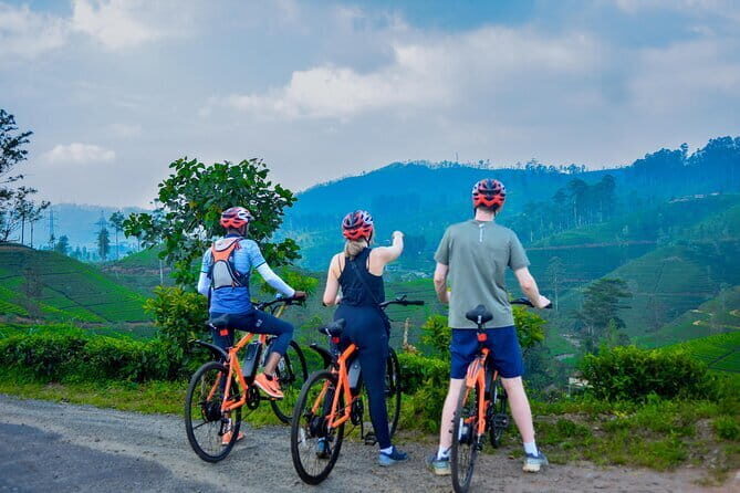 Tea Loops E-Biking - Breaking Down the Itinerary
