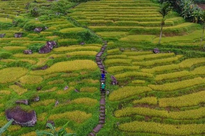 Tea Loops E-Biking - Final Thoughts: The Value of a Scenic Ride