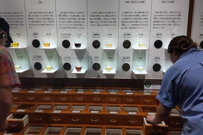 Tea Museum Shizuoka and Horaibashi Bridge Guided Tour-Van - Key Points