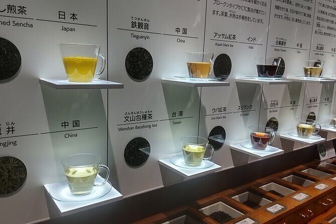 Tea Museum Shizuoka and Horaibashi Bridge Guided Tour-Van - What’s Included and What’s Not