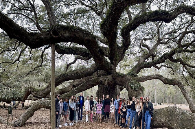 Tea Plantation and Winery Tour in Charleston - Authentic Insights: What Past Travelers Say