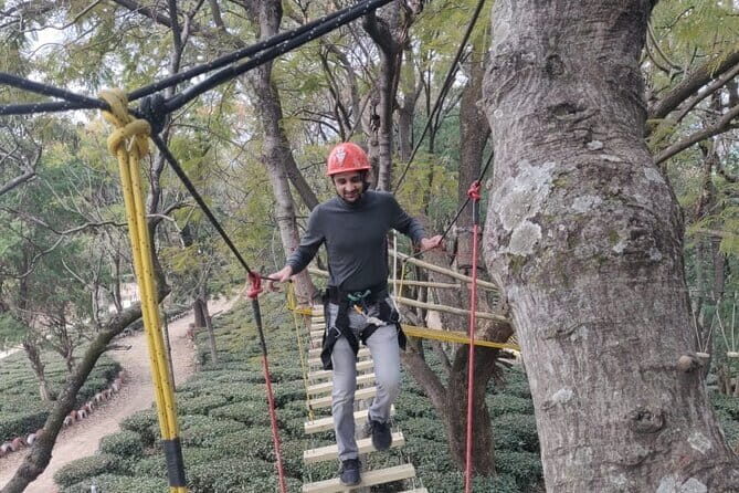Tea Top Adventure Activities - What Makes Each Rope Course Special