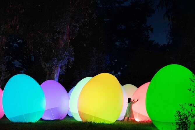 TeamLab Botanical Garden Osaka Ticket - Who Should Consider This Experience?