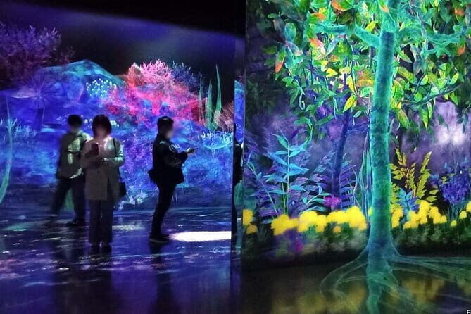 teamLab Forest Fukuoka an Immersive Art Experience Ticket - Key Points