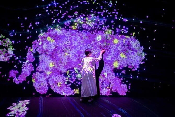 teamLab Forest Fukuoka an Immersive Art Experience Ticket - The Sum Up