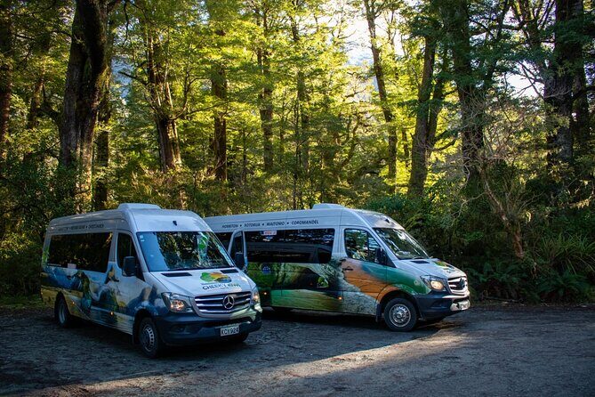 TeAnau to Queenstown via Milford Sound Tour with Cruise and Lunch - Logistical Details and Value