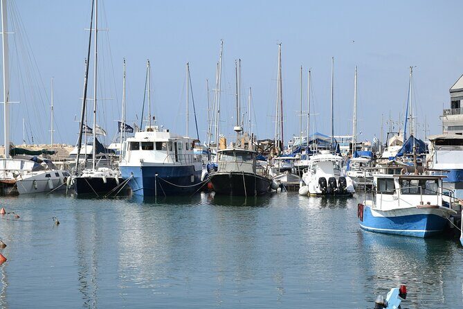 Tel Aviv; Jaffa Old City, Port & Shuk Hapishpishim Walking Tour - The Sum Up