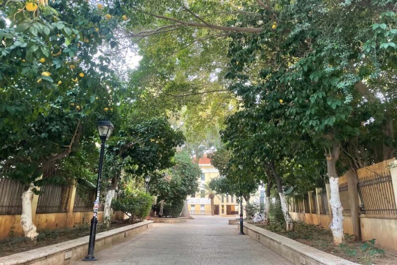 Tel Aviv: Neve Tzedek Cultural Walking Tour - A Deep Dive into the Neve Tzedek Experience