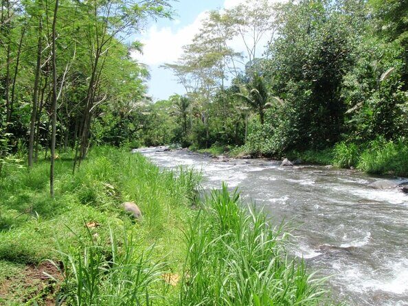 Telaga Waja Rafting Adventure: 3 Hours Rafting and All Inclusive - Introduction