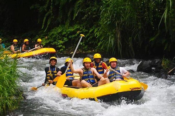 Telagawaja Rafting & East of Bali Tour - An In-Depth Look at the Tour Experience