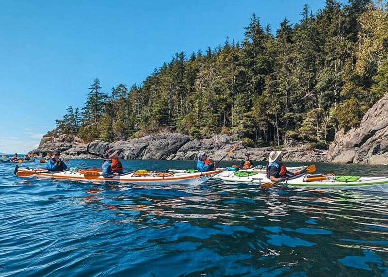 Telegraph Cove: Day Trip Kayaking Tour - An In-Depth Look at the Telegraph Cove Kayaking Tour