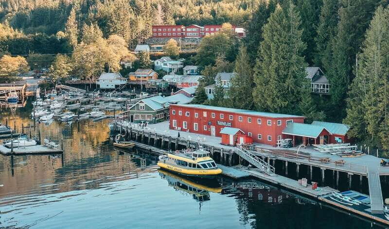 Telegraph Cove: Day Trip Kayaking Tour - FAQs